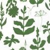 IHR Ideal Home Range Cocktail Napkins Marimekko Disposable 3-Ply Paper Party Napkin Pack, 5″ x 5″, Elokuun Vorjot Green, 20-Count