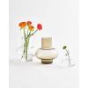 MARIMEKKO Umpu Glass Flower Vase (Color Clay) – Upgrade Your Home Decor with Our Modern Vases for Centerpieces – Stylish Medium Glass Vases for Flowers (7″ L x 7″ W)(Amber Vase)